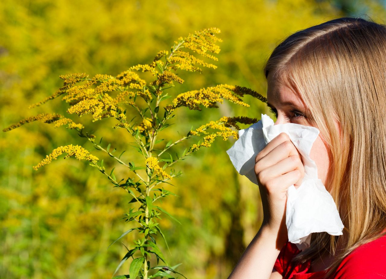 Astma i alergia – poznaj i pokonaj