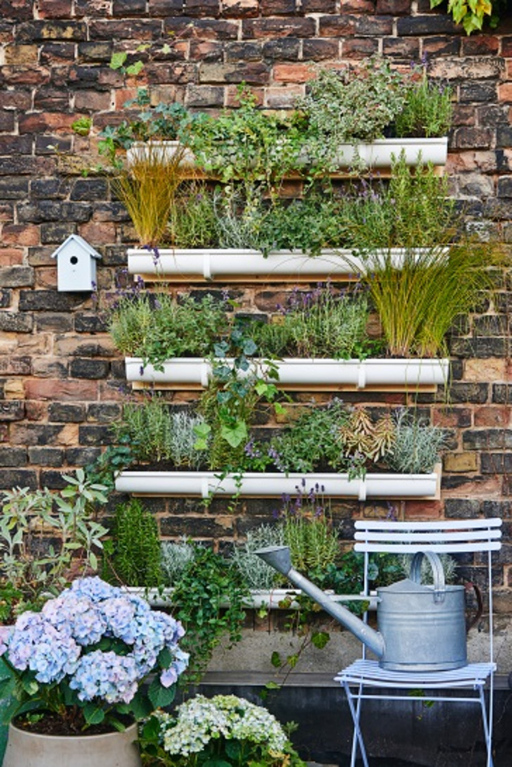 Zrób to sama: pionowy ogród na Twojej ścianie