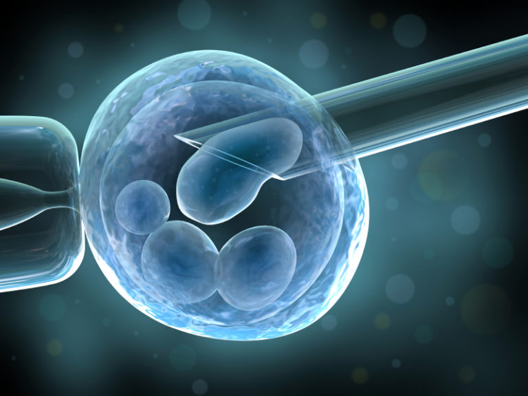 Komórka jajowa – 14 zaskakujących faktów na temat zapłodnienia