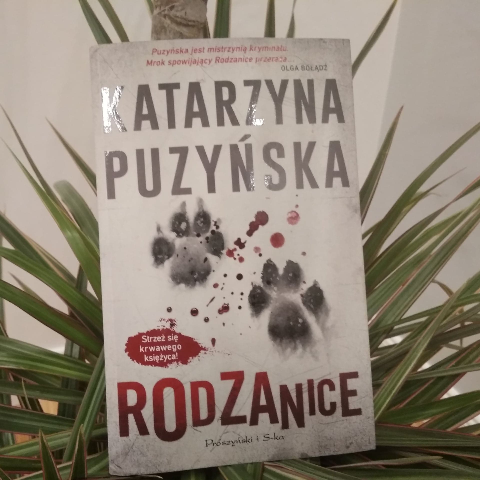 Rodzanice Katarzyna Puzyńska – recenzja