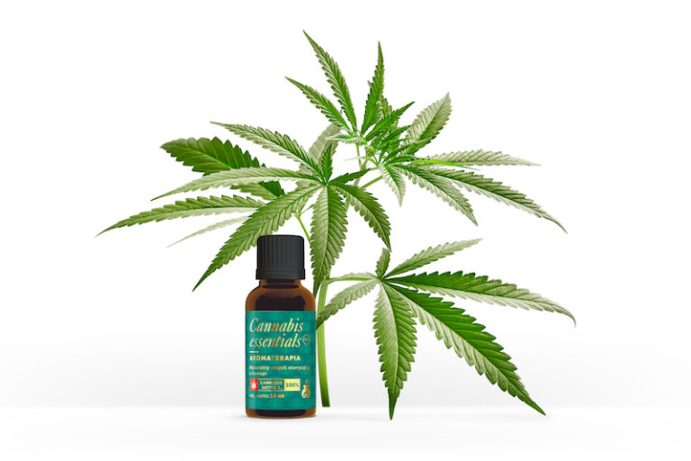 Olejek eteryczny Cannabis Essentials – nowy produkt z konopi