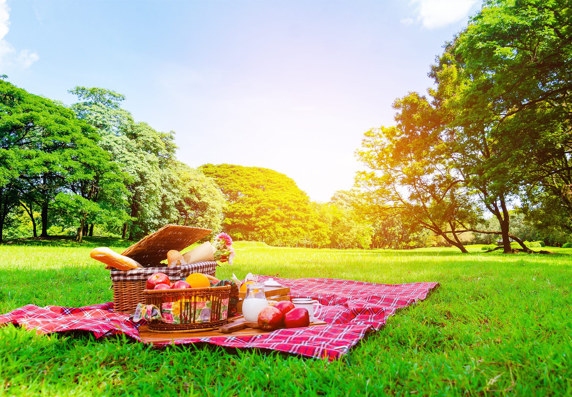 Wakacyjny piknik – jak zorganizować idealne spotkanie z najbliższymi?