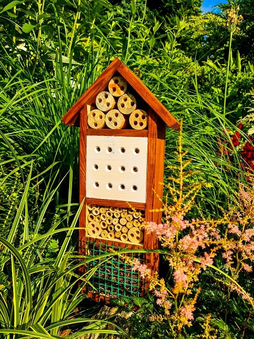 Domek dla pszczół – krok w stronę przydomowej ekologii