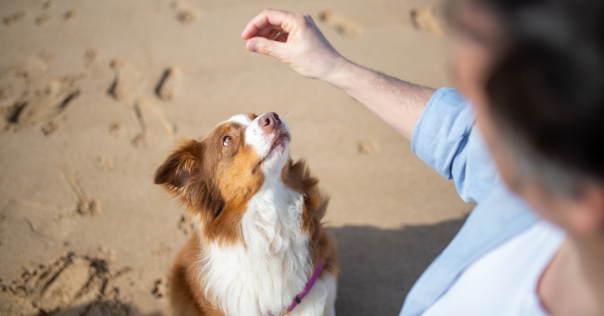 Wiosenny trening? Czas start!