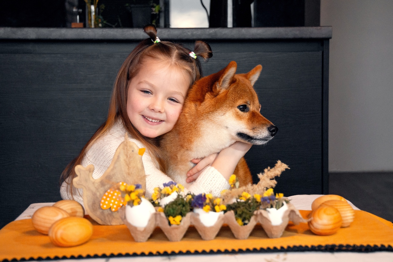 Bezpieczna Wielkanoc z pupilem – o czym warto pamiętać?